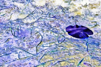 N 050A